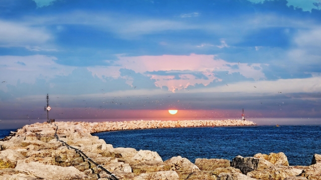 天博体育官网公共健身乒乓球台