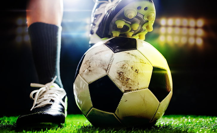 天博网页版入口官网实现草坪修剪的自由选择，尝试这些全自动工具吧！